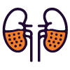 Kidney-Disease