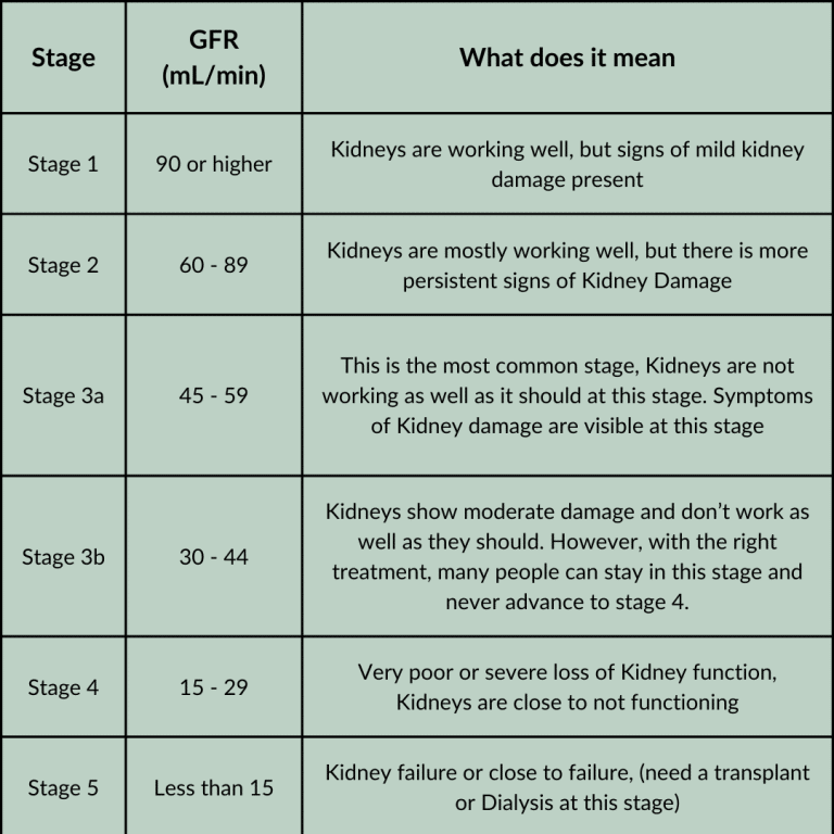 Five stages of Chronic Kidney Disease